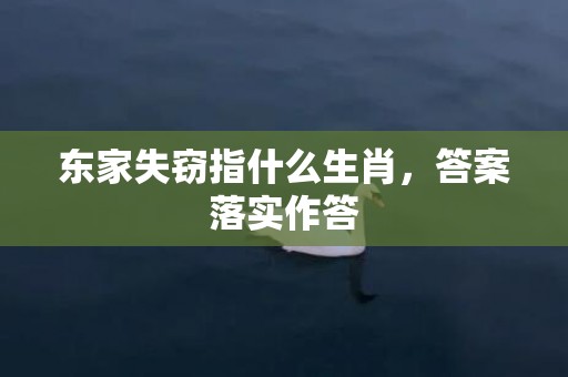 东家失窃指什么生肖，答案落实作答