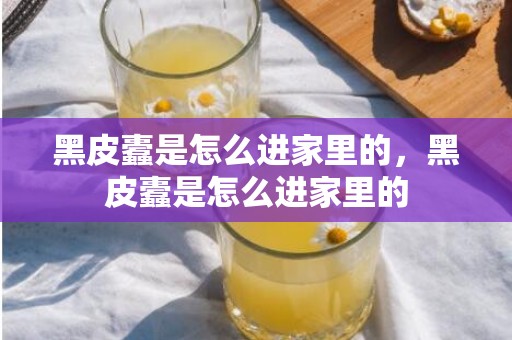 黑皮蠹是怎么进家里的，黑皮蠹是怎么进家里的