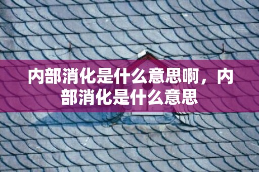 内部消化是什么意思啊，内部消化是什么意思