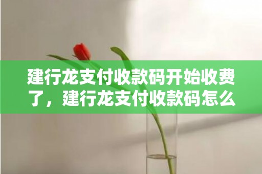 建行龙支付收款码开始收费了，建行龙支付收款码怎么开通