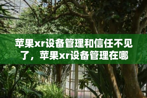 苹果xr设备管理和信任不见了，苹果xr设备管理在哪