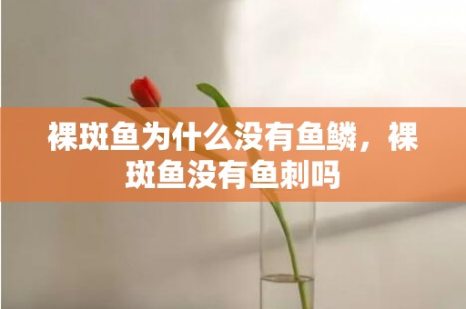 裸斑鱼为什么没有鱼鳞，裸斑鱼没有鱼刺吗