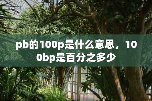 pb的100p是什么意思，100bp是百分之多少