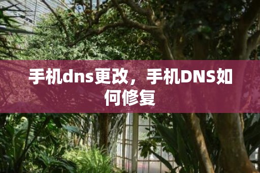 手机dns更改，手机DNS如何修复