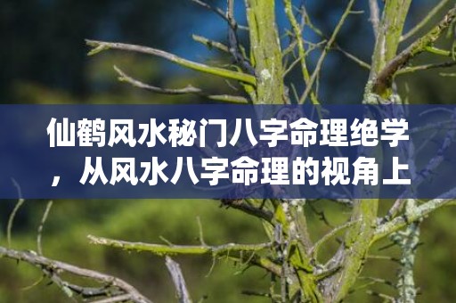 仙鹤风水秘门八字命理绝学，从风水八字命理的视角上讲,怎样高效率地把握住这一关键机会呢?