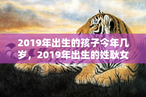 2019年出生的孩子今年几岁，2019年出生的姓耿女孩如何起名，宜用什么字