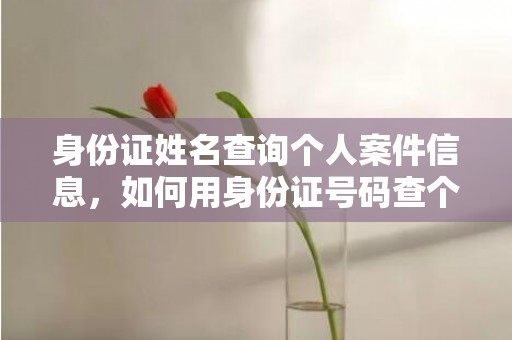 身份证姓名查询个人案件信息，如何用身份证号码查个人信息