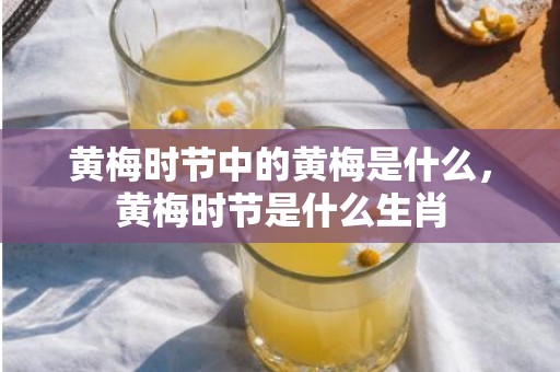 黄梅时节中的黄梅是什么，黄梅时节是什么生肖