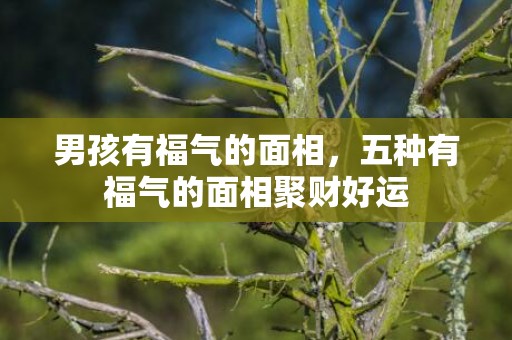 男孩有福气的面相，五种有福气的面相聚财好运