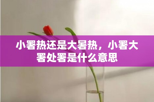 小署热还是大暑热，小署大署处署是什么意思