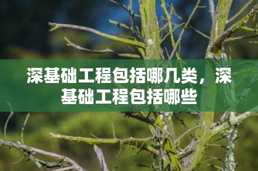 深基础工程包括哪几类，深基础工程包括哪些