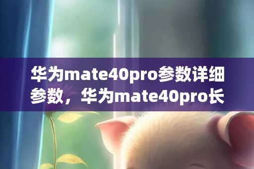 华为mate40pro参数详细参数，华为mate40pro长宽高是多少厘米