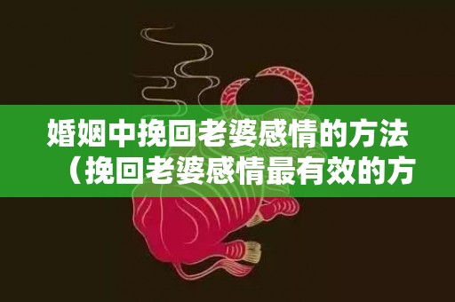 婚姻中挽回老婆感情的方法（挽回老婆感情最有效的方法）