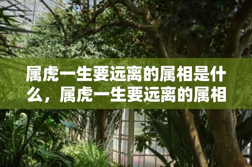 属虎一生要远离的属相是什么，属虎一生要远离的属相，生肖兔、虎、龙