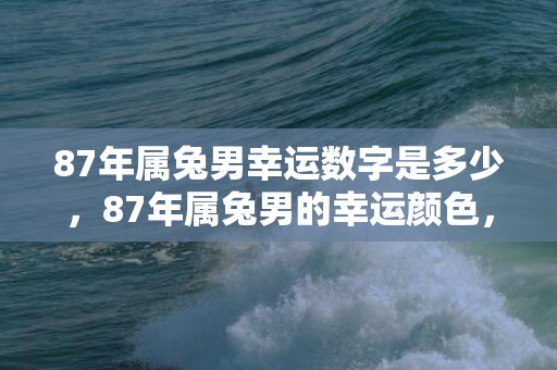 87年属兔男幸运数字是多少，87年属兔男的幸运颜色，1987属兔的终身幸运色