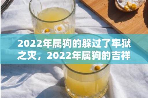 2022年属狗的躲过了牢狱之灾，2022年属狗的吉祥物是什么，生肖狗2022年财运运势