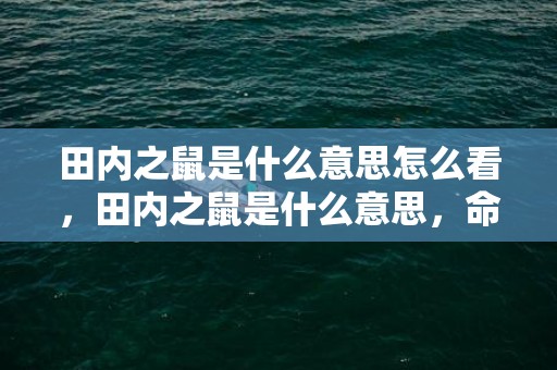 田内之鼠是什么意思怎么看，田内之鼠是什么意思，命运好不好