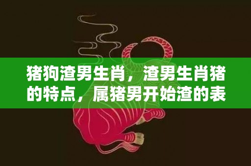 猪狗渣男生肖，渣男生肖猪的特点，属猪男开始渣的表现