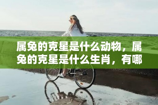 属兔的克星是什么动物，属兔的克星是什么生肖，有哪些属相和属兔相克