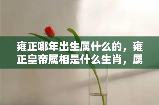 雍正哪年出生属什么的，雍正皇帝属相是什么生肖，属马人一生最旺3人