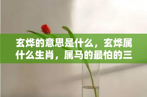 玄烨的意思是什么，玄烨属什么生肖，属马的最怕的三个生肖