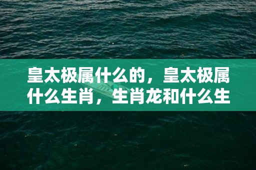 皇太极属什么的，皇太极属什么生肖，生肖龙和什么生肖相冲