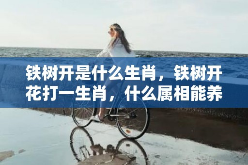 铁树开是什么生肖，铁树开花打一生肖，什么属相能养铁树