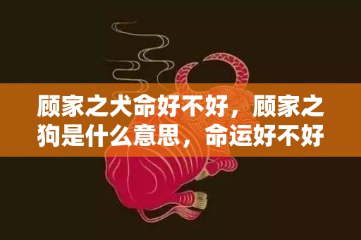 顾家之犬命好不好，顾家之狗是什么意思，命运好不好