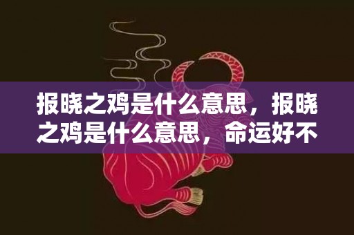 报晓之鸡是什么意思，报晓之鸡是什么意思，命运好不好