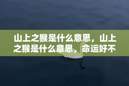 山上之猴是什么意思，山上之猴是什么意思，命运好不好