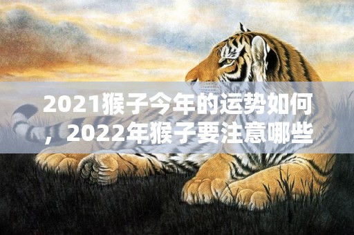 2021猴子今年的运势如何，2022年猴子要注意哪些，保持低调内敛