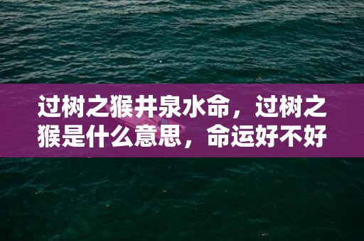 过树之猴井泉水命，过树之猴是什么意思，命运好不好