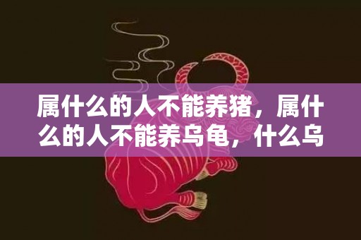 属什么的人不能养猪，属什么的人不能养乌龟，什么乌龟能够带财