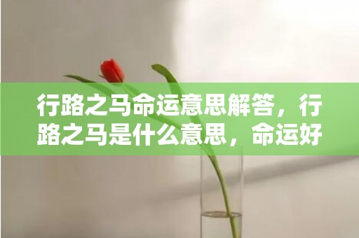 行路之马命运意思解答，行路之马是什么意思，命运好不好