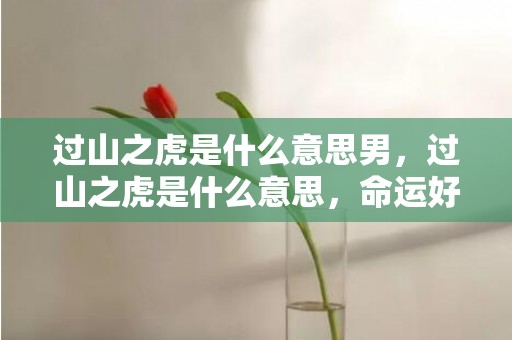 过山之虎是什么意思男，过山之虎是什么意思，命运好不好