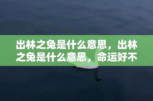 出林之兔是什么意思，出林之兔是什么意思，命运好不好