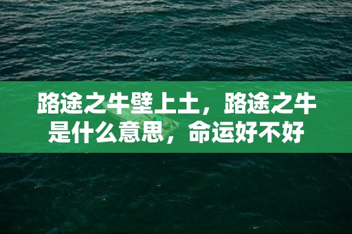 路途之牛壁上土，路途之牛是什么意思，命运好不好