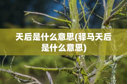 天后是什么意思(驿马天后是什么意思)