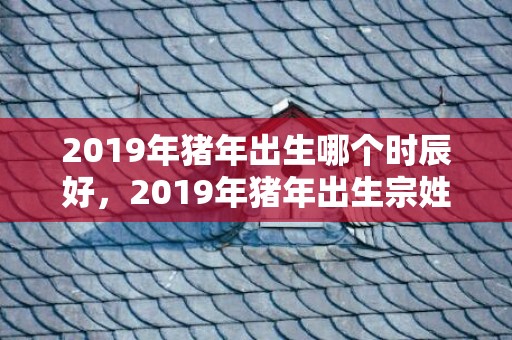 2019年猪年出生哪个时辰好，2019年猪年出生宗姓女孩怎么样起名字，宗姓女孩好名推荐