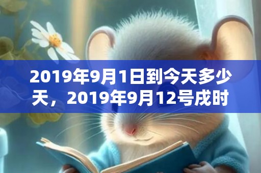 2019年9月1日到今天多少天，2019年9月12号戌时出生的男孩如何起取个理想的名字，五行属什么