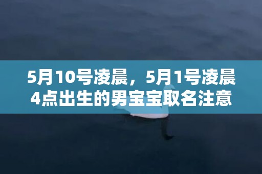 5月10号凌晨，5月1号凌晨4点出生的男宝宝取名注意事项