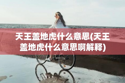 天王盖地虎什么意思(天王盖地虎什么意思啊解释)