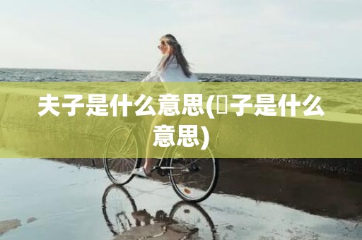 夫子是什么意思(伕子是什么意思)