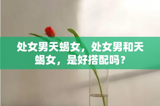 处女男天蝎女，处女男和天蝎女，是好搭配吗？