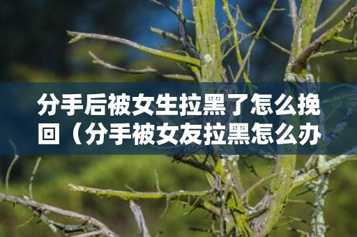 分手后被女生拉黑了怎么挽回（分手被女友拉黑怎么办）