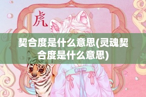 契合度是什么意思(灵魂契合度是什么意思)