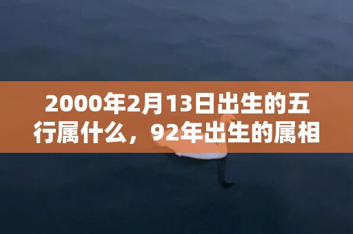 2000年2月13日出生的五行属什么，92年出生的属相是什么属相