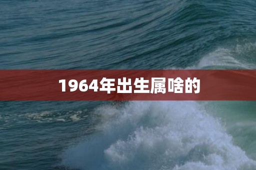 1964年出生属啥的