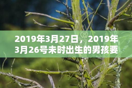 2019年3月27日，2019年3月26号未时出生的男孩要怎么起名字