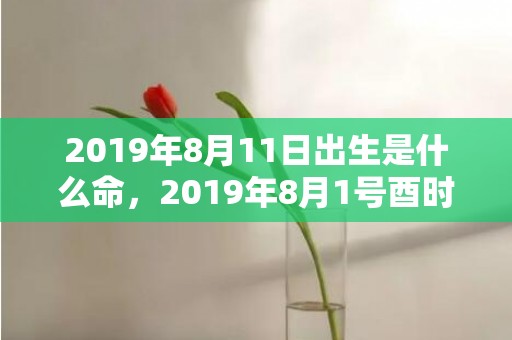 2019年8月11日出生是什么命，2019年8月1号酉时出生的男孩五行属什么